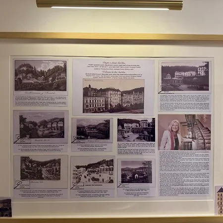 Center View شقة *